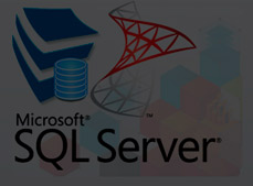 Microsoft SQL Server 2019 для поддержки системы "1С:Предприятие 8": администрирование, оптимизация, обеспечение безопасности